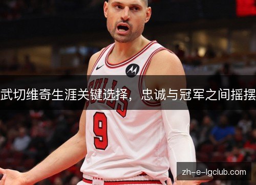 武切维奇生涯关键选择,忠诚与冠军之间摇摆 武切维奇生涯关键选择,忠诚与冠军之间摇摆