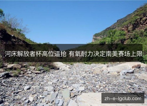 河床解放者杯高位逼抢 有氧耐力决定南美赛场上限 河床解放者杯高位逼抢 有氧耐力决定南美赛场上限